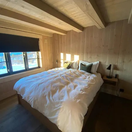 Semesterbostad Exclusive On Geilo Hol (Buskerud)