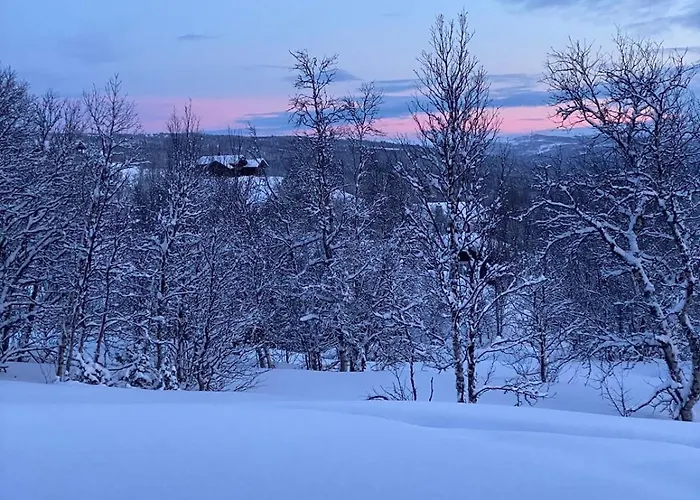 Hébergement de vacances Exclusive On Geilo Hol (Buskerud)